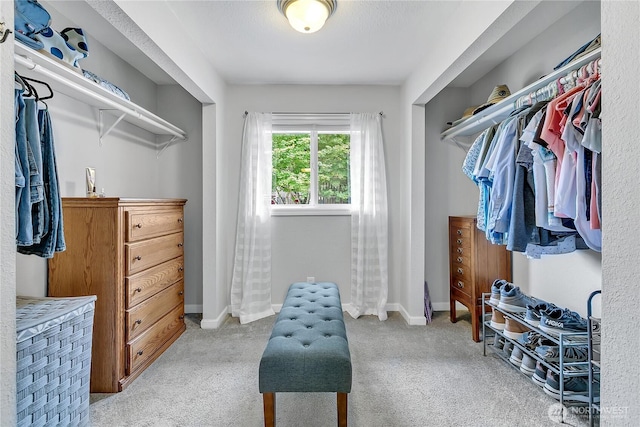 1317 23rd Ave SW, Puyallup, WA 98371 - walk in closet with carpet floors