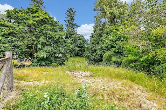 1317 23rd Ave SW, Puyallup, WA 98371 - view of undeveloped land
