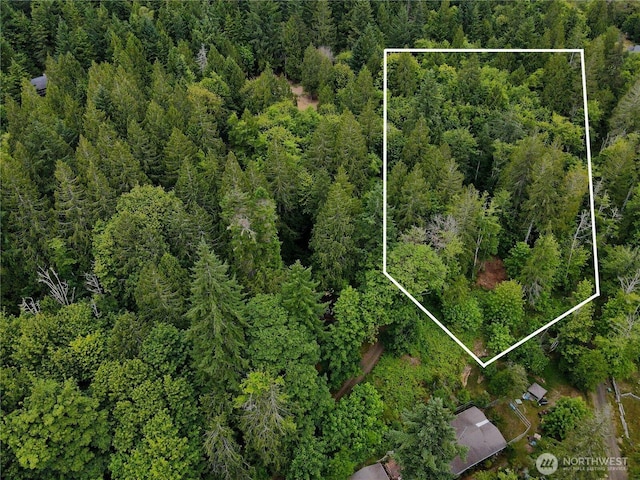 101 N Arnolds Way, Hoodsport, WA 98548 - photo 1