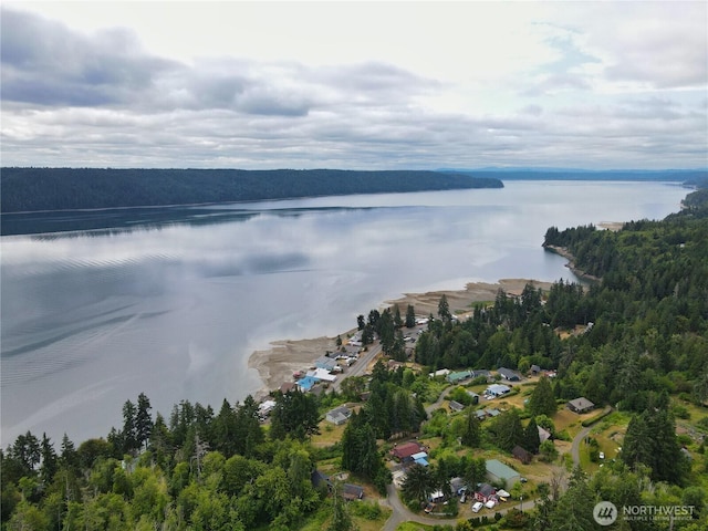 101 N Arnolds Way, Hoodsport, WA 98548 - photo 2