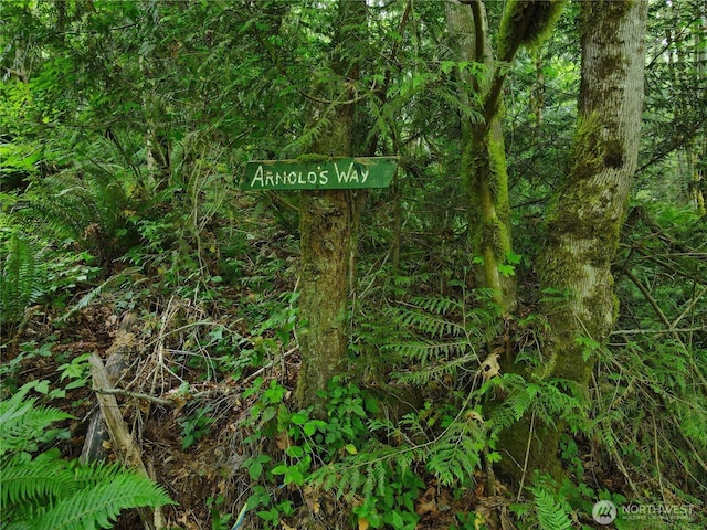 101 N Arnolds Way, Hoodsport, WA 98548 - photo 3
