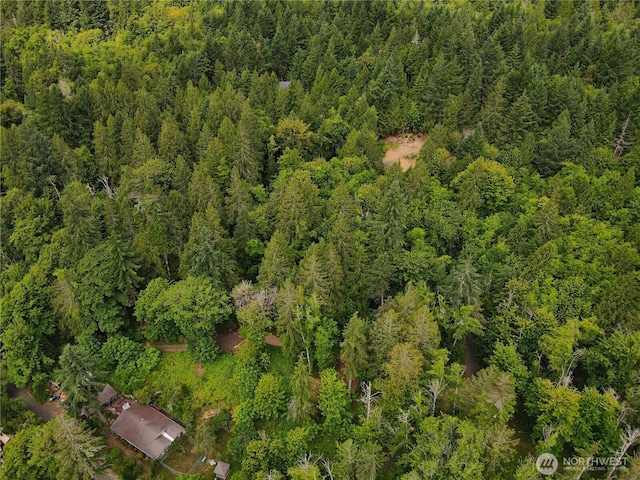 101 N Arnolds Way, Hoodsport, WA 98548 - photo 6