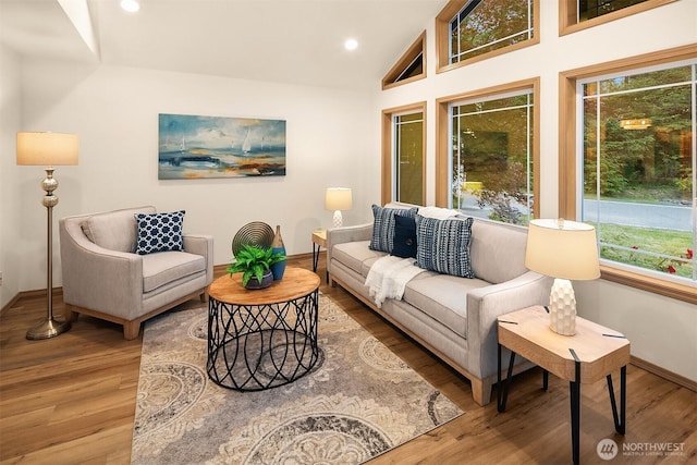 44422 SE 130th St, North Bend, WA 98045 - living area featuring wood finished floors, recessed lighting, and lofted ceiling