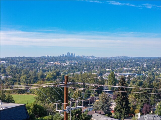 5717 S Ryan St, Seattle, WA 98178 - view of mountain backdrop