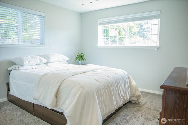 13814 C St S, Tacoma, WA 98444 - carpeted bedroom featuring multiple windows