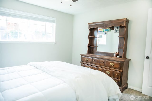 13814 C St S, Tacoma, WA 98444 - carpeted bedroom with multiple windows and ceiling fan