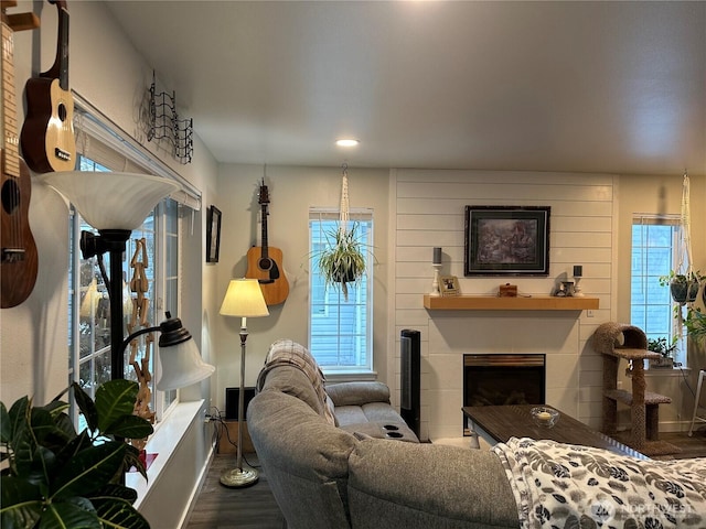 314 Birchwood Ln, Sedro Woolley, WA 98284 - living room featuring wood finished floors, a fireplace, and recessed lighting