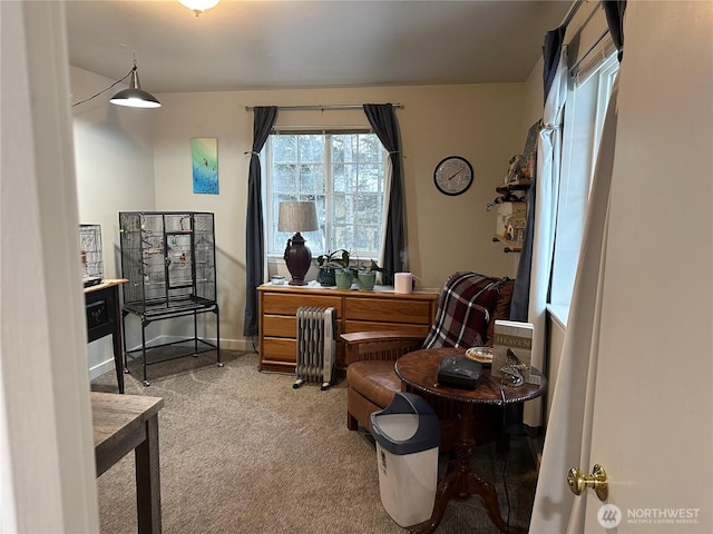 314 Birchwood Ln, Sedro Woolley, WA 98284 - carpeted home office featuring radiator