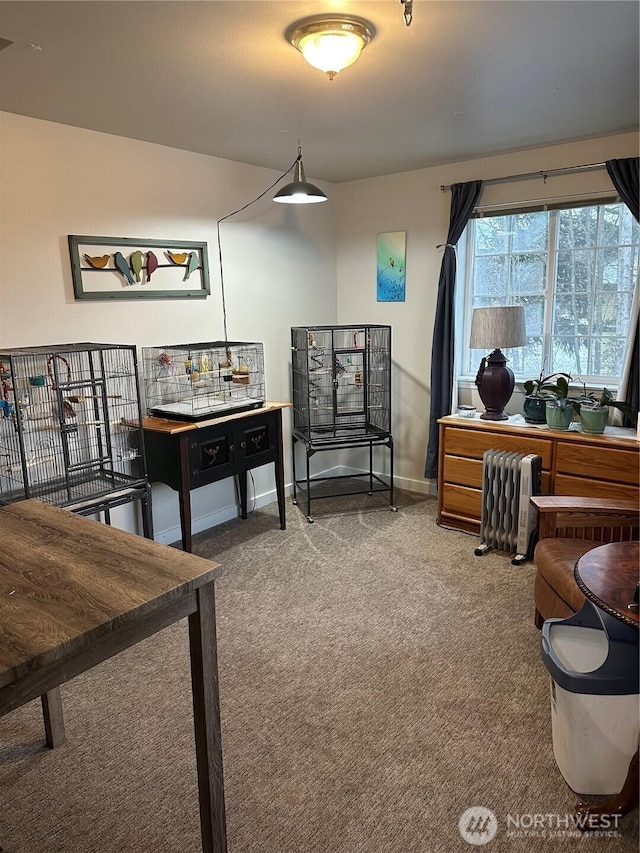 314 Birchwood Ln, Sedro Woolley, WA 98284 - recreation room featuring carpet floors and radiator