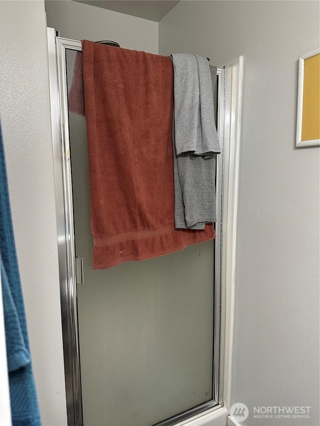 314 Birchwood Ln, Sedro Woolley, WA 98284 - bathroom view of a shower stall