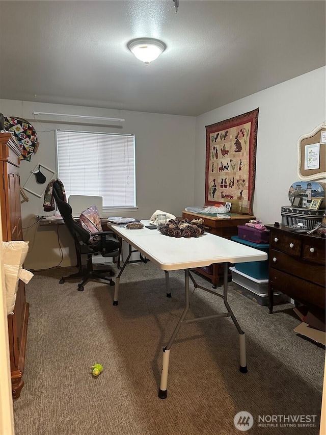 314 Birchwood Ln, Sedro Woolley, WA 98284 - view of carpeted home office