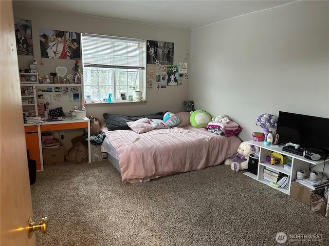 314 Birchwood Ln, Sedro Woolley, WA 98284 - view of carpeted bedroom