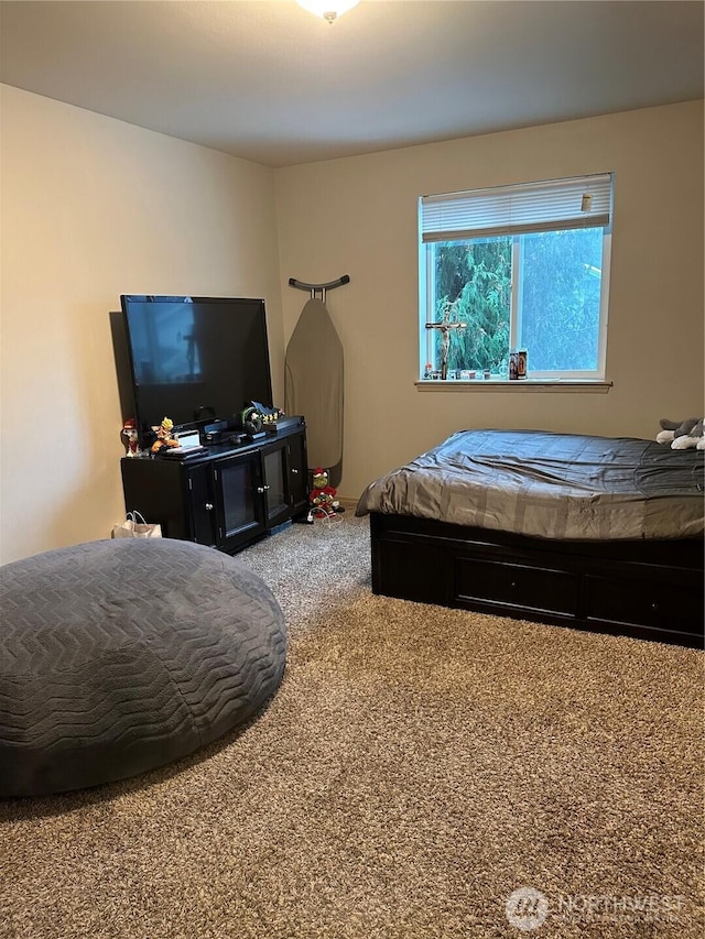 314 Birchwood Ln, Sedro Woolley, WA 98284 - view of carpeted bedroom