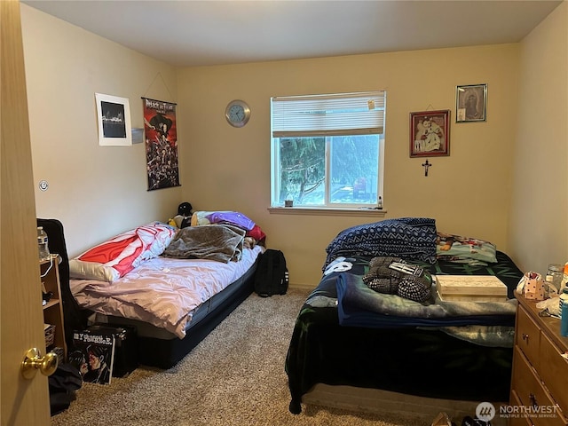 314 Birchwood Ln, Sedro Woolley, WA 98284 - bedroom featuring carpet