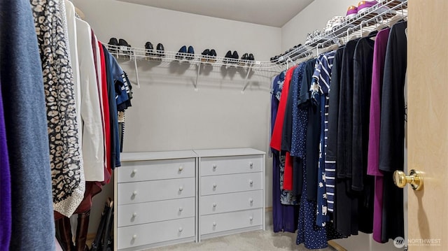 4422 NE 2nd Ln, Renton, WA 98059 - spacious closet with carpet flooring