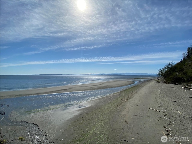 3644 Fidalgo Dr, Clinton, WA 98236 - photo 40
