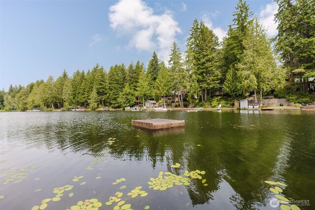 290 NE Lake Dr, Tahuya, WA 98588 - photo 23