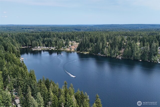 290 NE Lake Dr, Tahuya, WA 98588 - photo 38