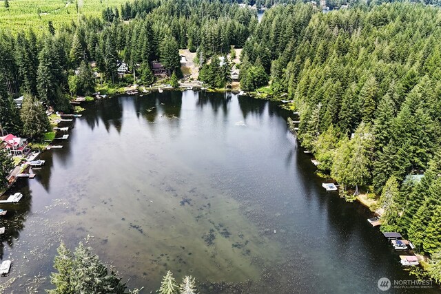 290 NE Lake Dr, Tahuya, WA 98588 - photo 39