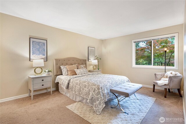 9201 NE Juanita Dr Unit 205, Kirkland, WA 98034 - bedroom featuring light colored carpet and baseboards