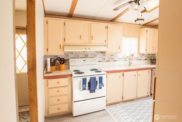 1361 NE Goldie Rd Unit 17, Oak Harbor, WA 98277 - photo 10