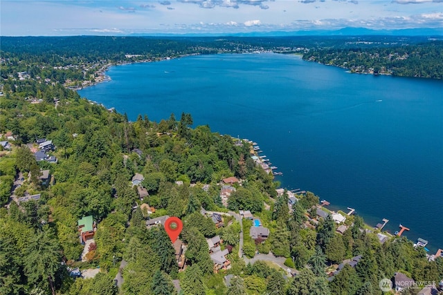 13710 41st Ave NE, Seattle, WA 98125 - drone / aerial view of a forest and a nearby body of water