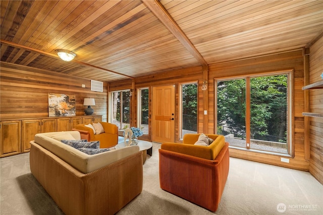 13710 41st Ave NE, Seattle, WA 98125 - living room with wooden walls, wooden ceiling, and light colored carpet