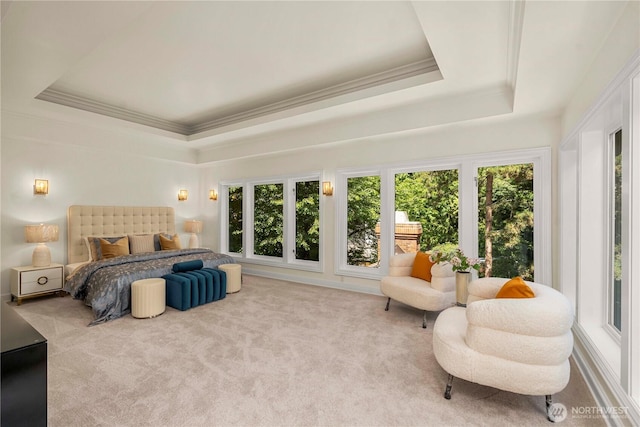 13710 41st Ave NE, Seattle, WA 98125 - carpeted bedroom with a tray ceiling and ornamental molding