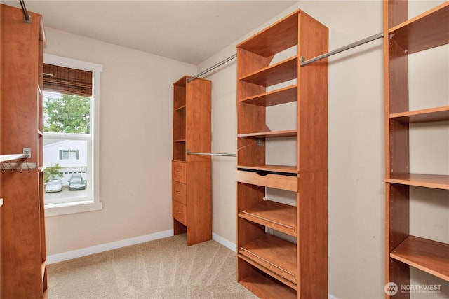 1344 Foreman Rd, Dupont, WA 98327 - spacious closet with carpet flooring