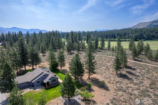 13 Pleasant View Dr, Winthrop, WA 98862 - photo 2