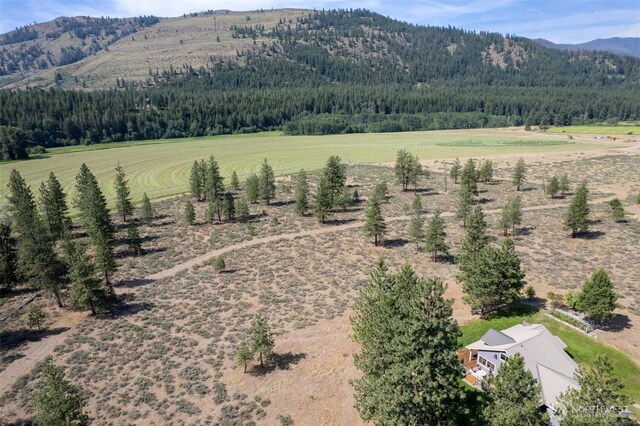 13 Pleasant View Dr, Winthrop, WA 98862 - photo 5