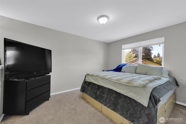 18028 121st St NE, Arlington, WA 98223 - photo 22