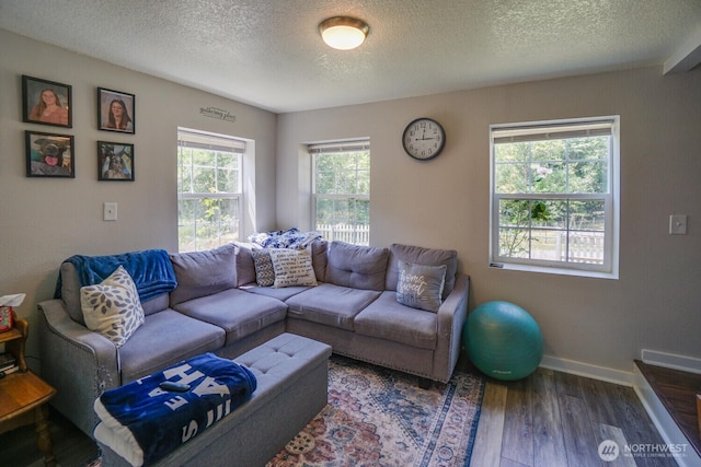 19910 NE 356th St, Yacolt, WA 98675 - living room with a textured ceiling and wood finished floors