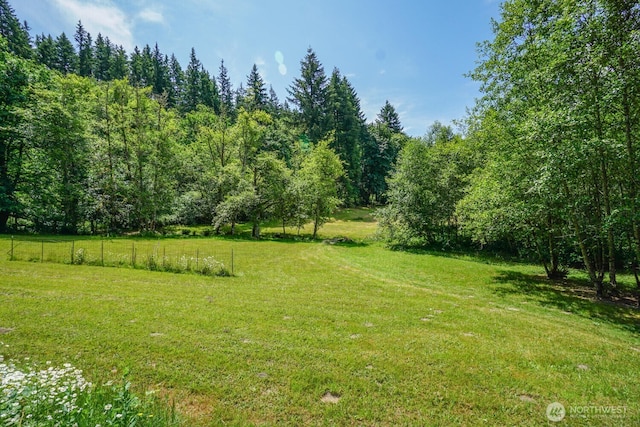 19910 NE 356th St, Yacolt, WA 98675 - view of yard featuring a view of trees