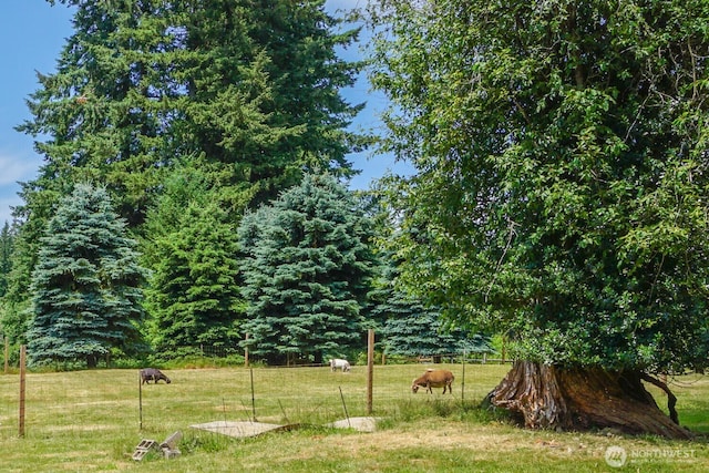 19910 NE 356th St, Yacolt, WA 98675 - view of green lawn
