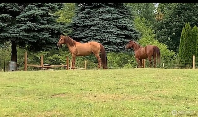 19910 NE 356th St, Yacolt, WA 98675 - view of horse barn