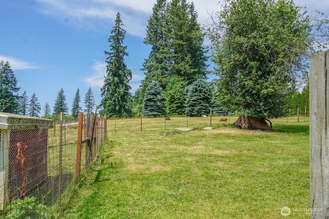 19910 NE 356th St, Yacolt, WA 98675 - view of yard