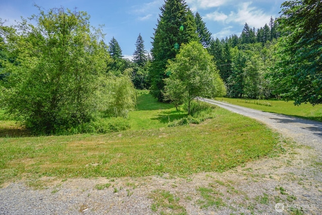 19910 NE 356th St, Yacolt, WA 98675 - view of road featuring a forest view