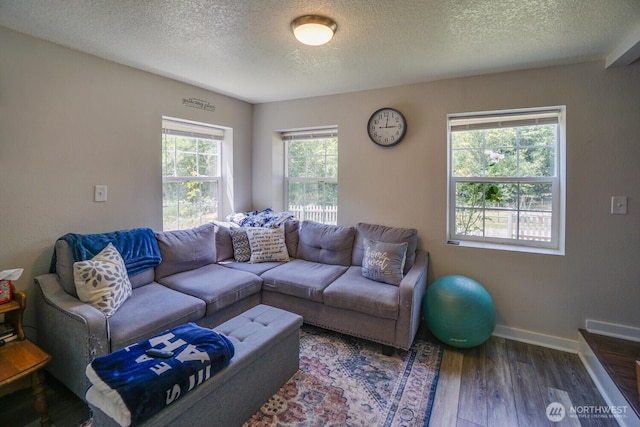 19910 NE 356th St, Yacolt, WA 98675 - living room with a textured ceiling and wood finished floors
