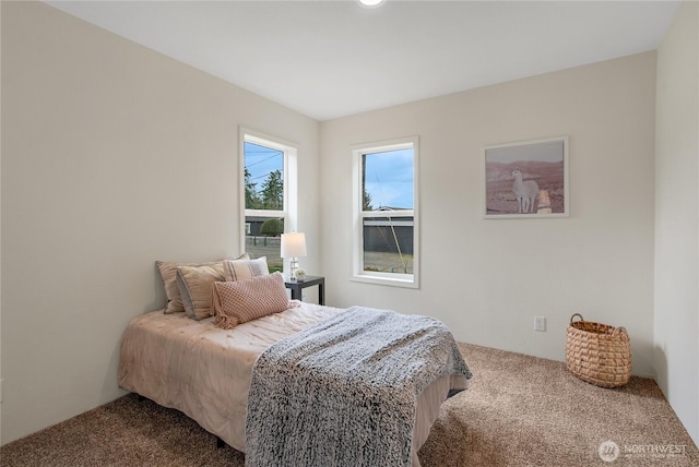 15807 78th Avenue Ct E, Puyallup, WA 98375 - view of carpeted bedroom
