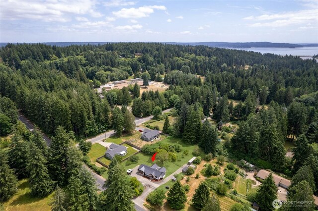 11816 Creviston Dr NW, Gig Harbor, WA 98329 - photo 33