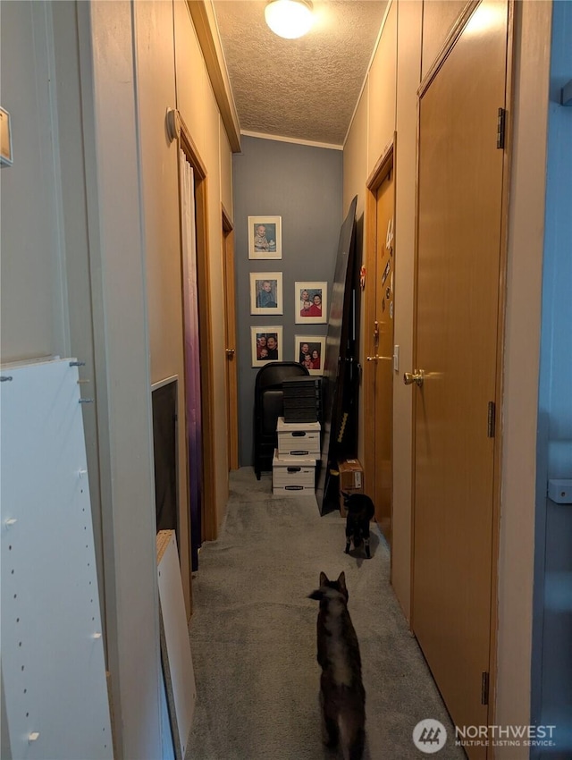 30925 114th Ln SE, Auburn, WA 98092 - hallway with a textured ceiling, carpet flooring, and ornamental molding