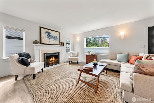 102 NW 132nd St, Seattle, WA 98177 - living area featuring light wood-type flooring and a fireplace with flush hearth