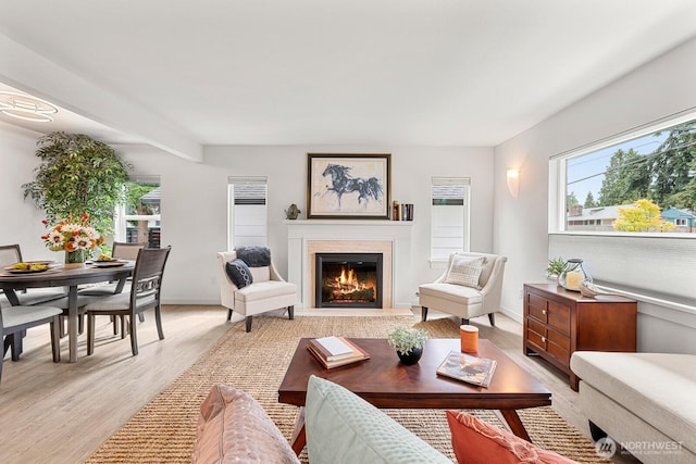 102 NW 132nd St, Seattle, WA 98177 - living room with light wood-type flooring and a glass covered fireplace