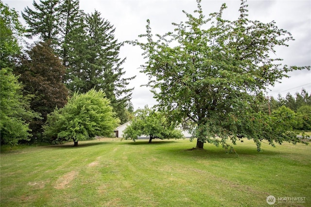 1639 State Route 505, Toledo, WA 98591 - photo 27