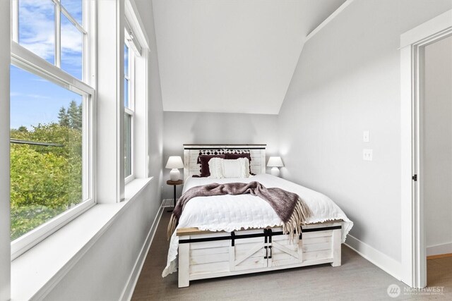 1615 Monroe St, Bellingham, WA 98225 - bedroom with wood finished floors and vaulted ceiling