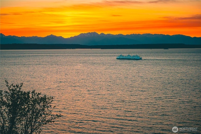 1017 California Ln SW, Seattle, WA 98116 - water view with a mountainous background