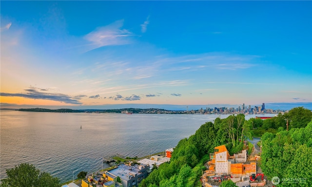 1017 California Ln SW, Seattle, WA 98116 - water view