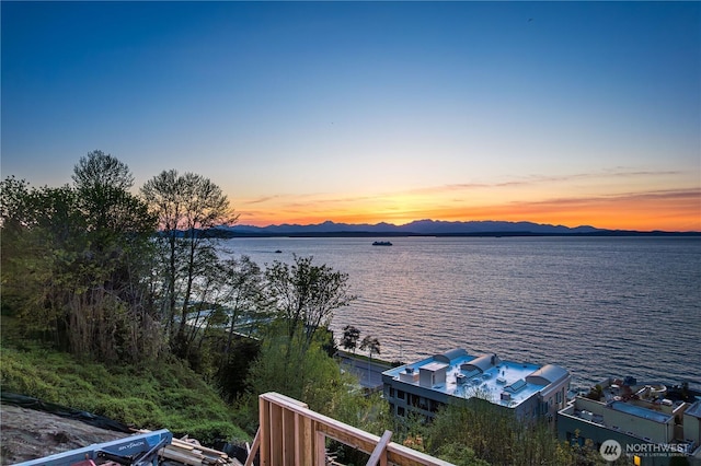 1017 California Ln SW, Seattle, WA 98116 - water view with mountains