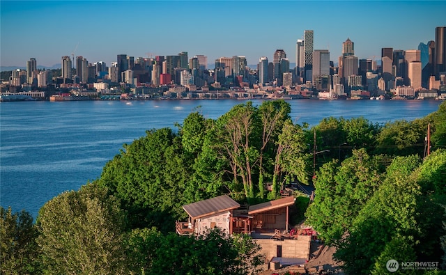 1017 California Ln SW, Seattle, WA 98116 - skyline view featuring a nearby body of water